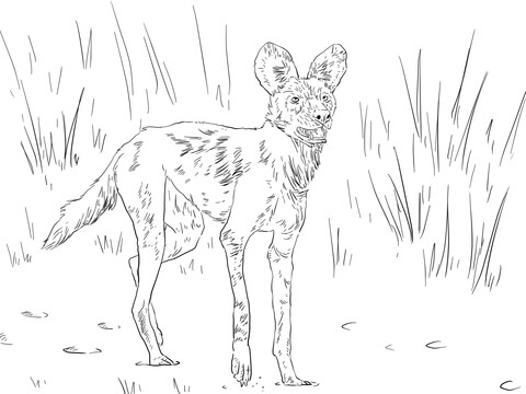 African Wild Dog Or Ornate Wolf Coloring Page